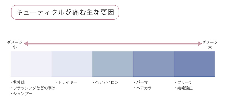 キューティクルが傷みやすくなる主な要因