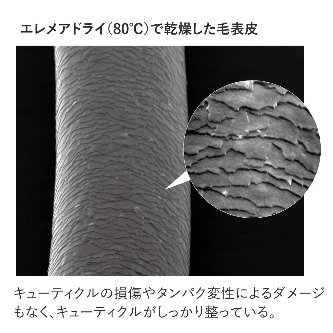 海外ブランド 楽天市場】【公式】 メーカー保証付き エレメアドライER