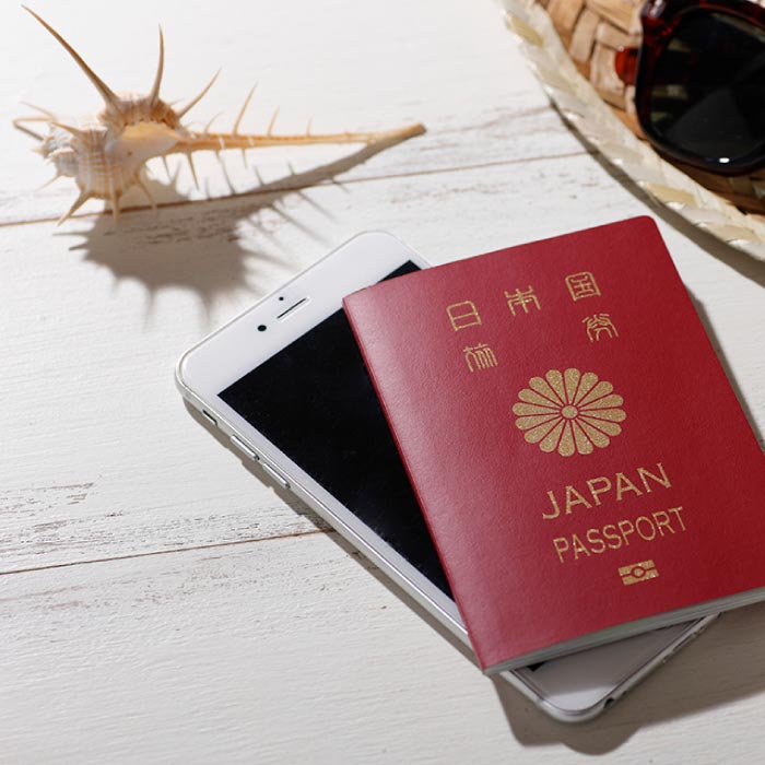 海外対応コーム型アイロン