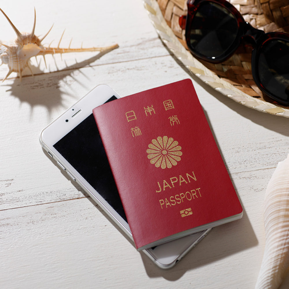 海外兼用ストレートアイロン