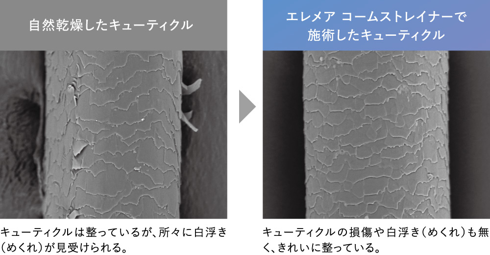 クレイツイオンイメージ画像
