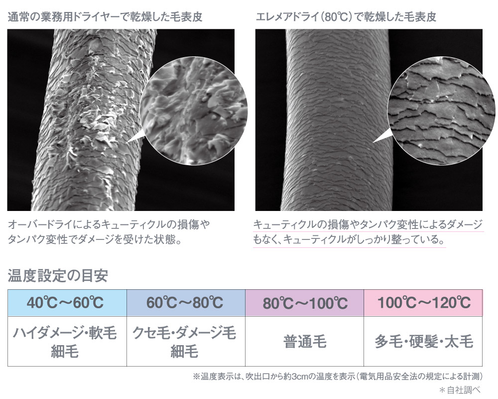 キューティクル表面観察画像