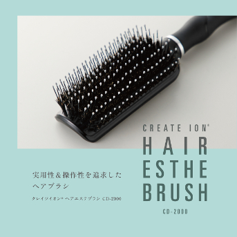 ヘアエステブラシCD-2000